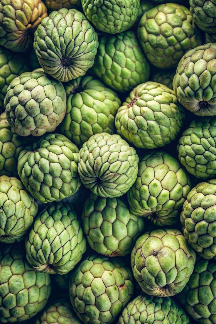 Heirloom Orchard Treasures: Exotic Fruit Ensemble