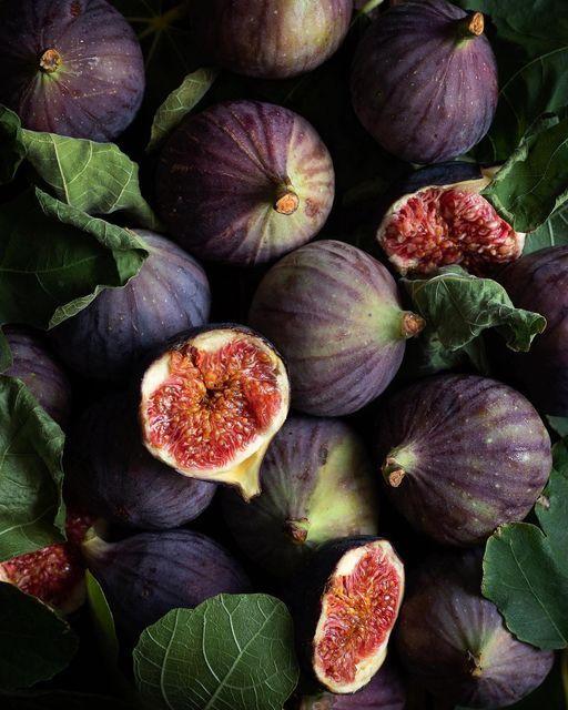 Farm Fresh Cornucopia: Seasonal Veggie Delights